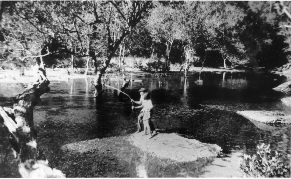Joyce King and Gordon, Coal and Candle Creek, Terrey Hills
