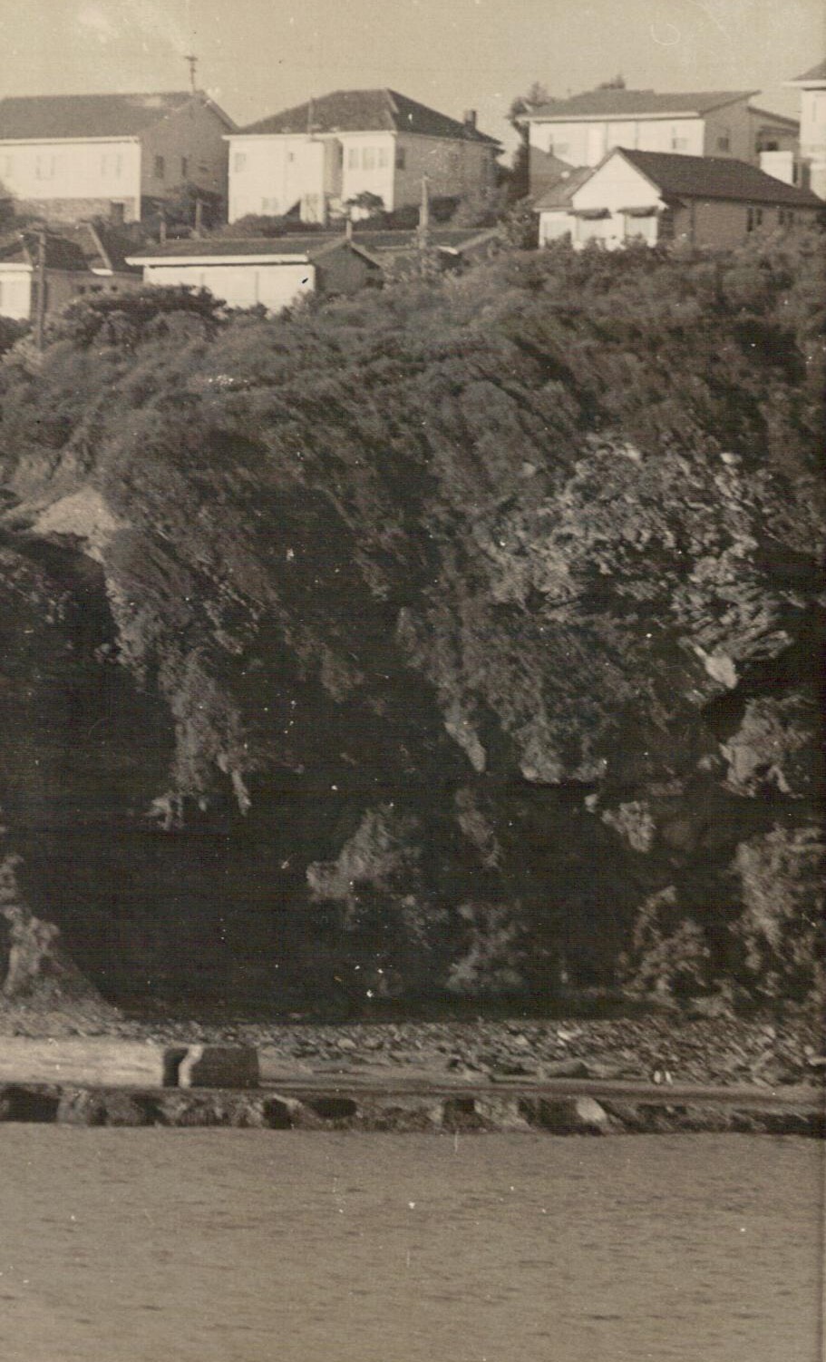 Mona Vale Headland
