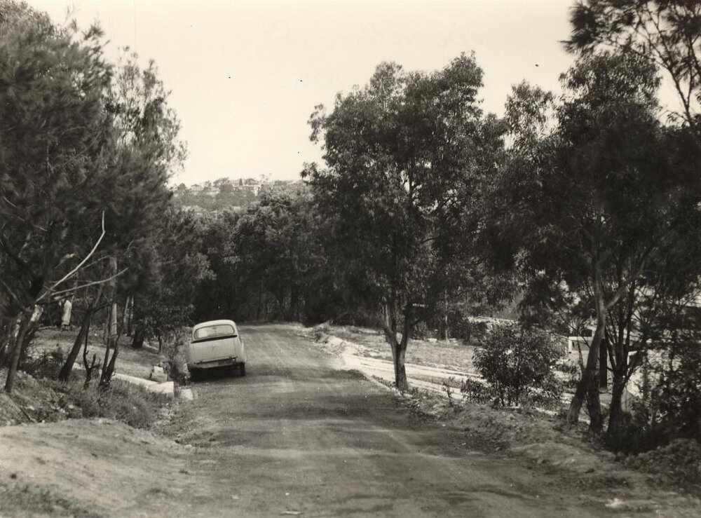 Abernethy Street, view south, Seaforth, September 1956