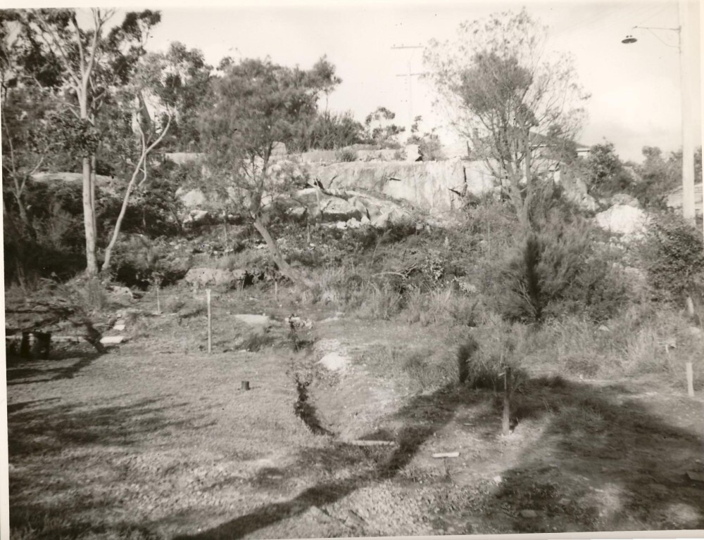 Adelaide Street, looking east, Balgowlah Heights, 1952