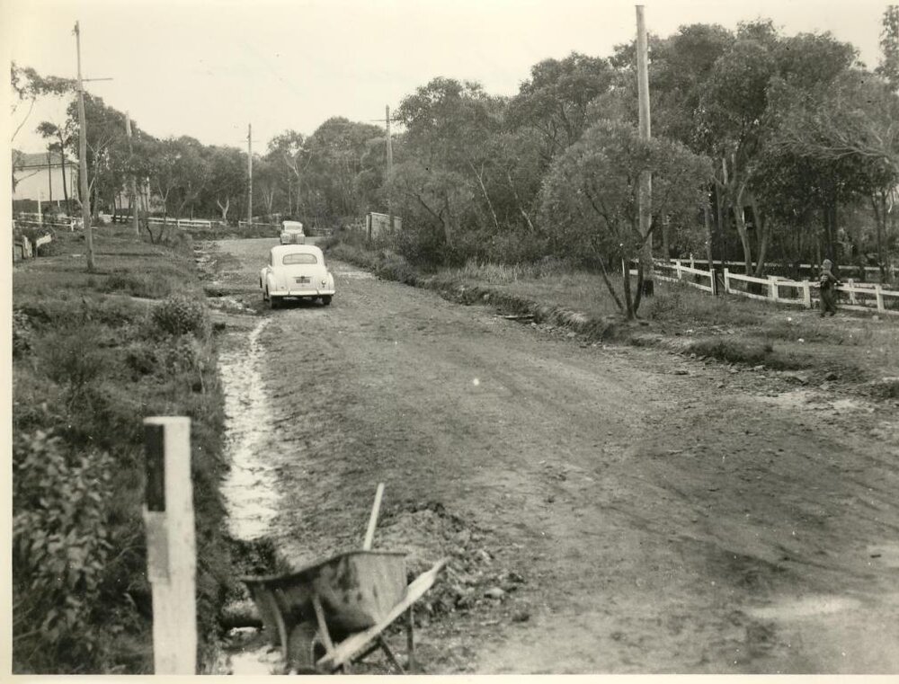 Alto Avenue, north from Armstrong Street, Seaforth, c1950s