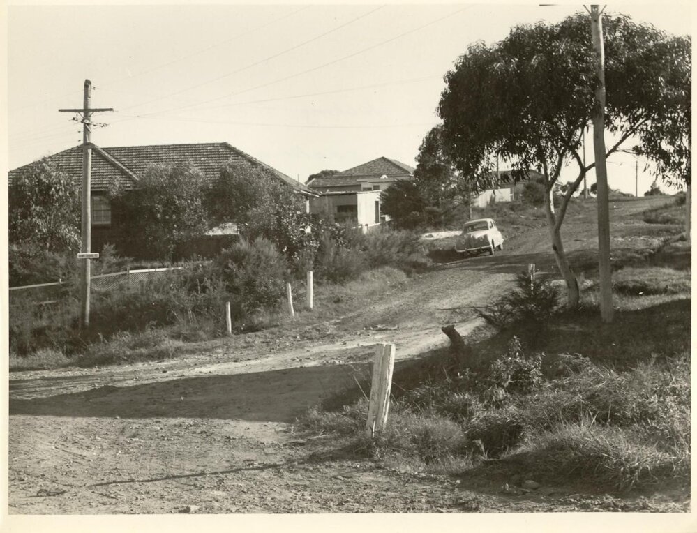 Armstrong Street from Prince Edward Road prior to sealing, Seaforth, 1956