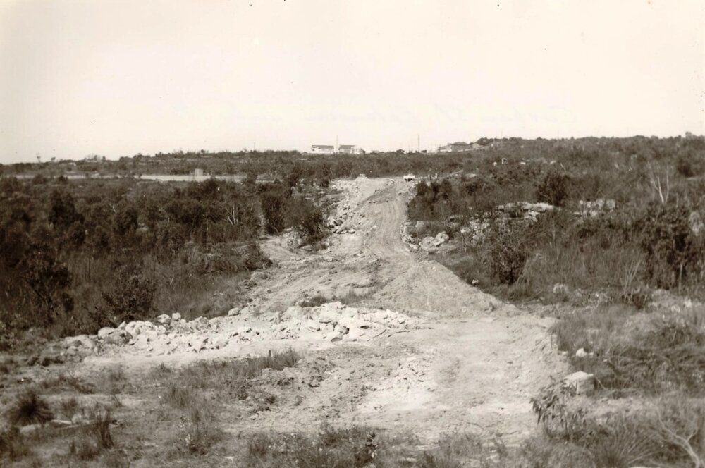 Curban Street extension, Balgowlah Heights, July 1955