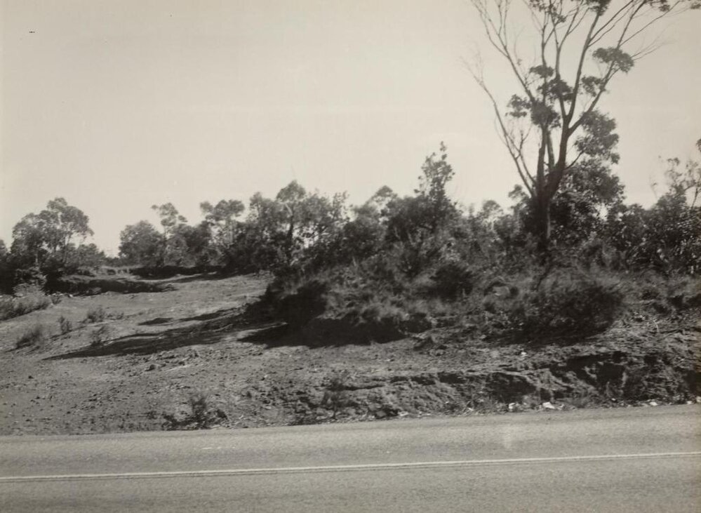 At the gravel pit, Frenchs Forest Road, Seaforth, August 1947