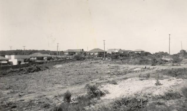 Bareena Park bowling green grading, Balgowlah Heights, 1954