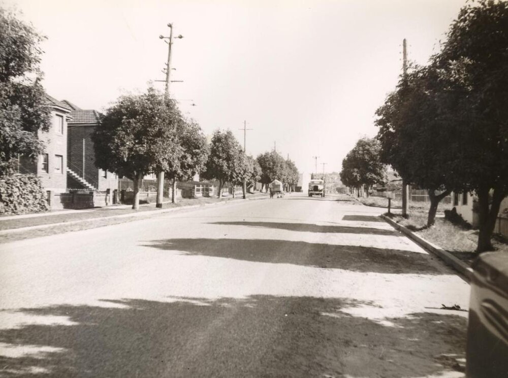 Balgowlah Road near Depot, Balgowlah, June 1952