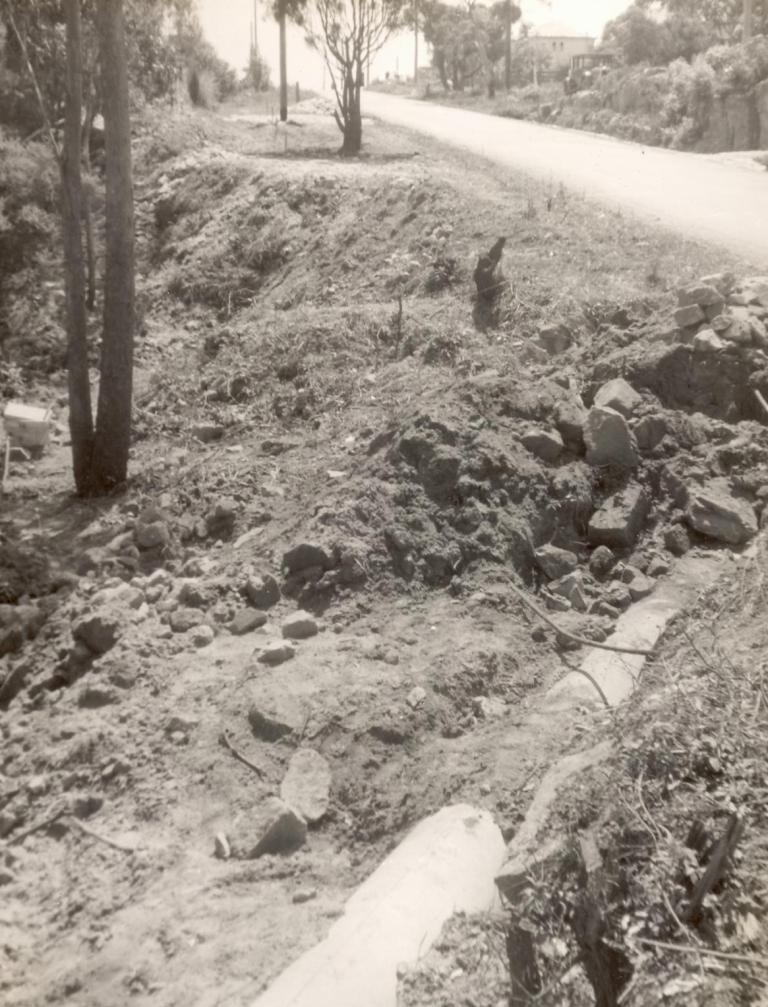 Beatrice Street north to Gordon Street, Balgowlah Heights, March 1953