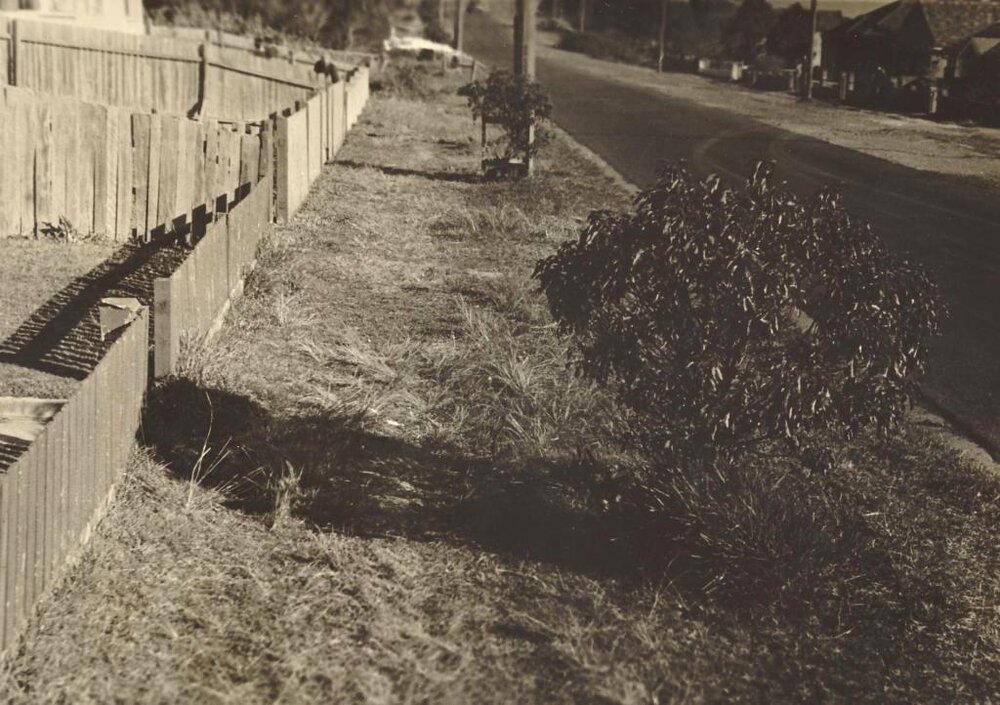 Beatrice Street east to Ernest Street, Balgowlah Heights, 29th June 1946
