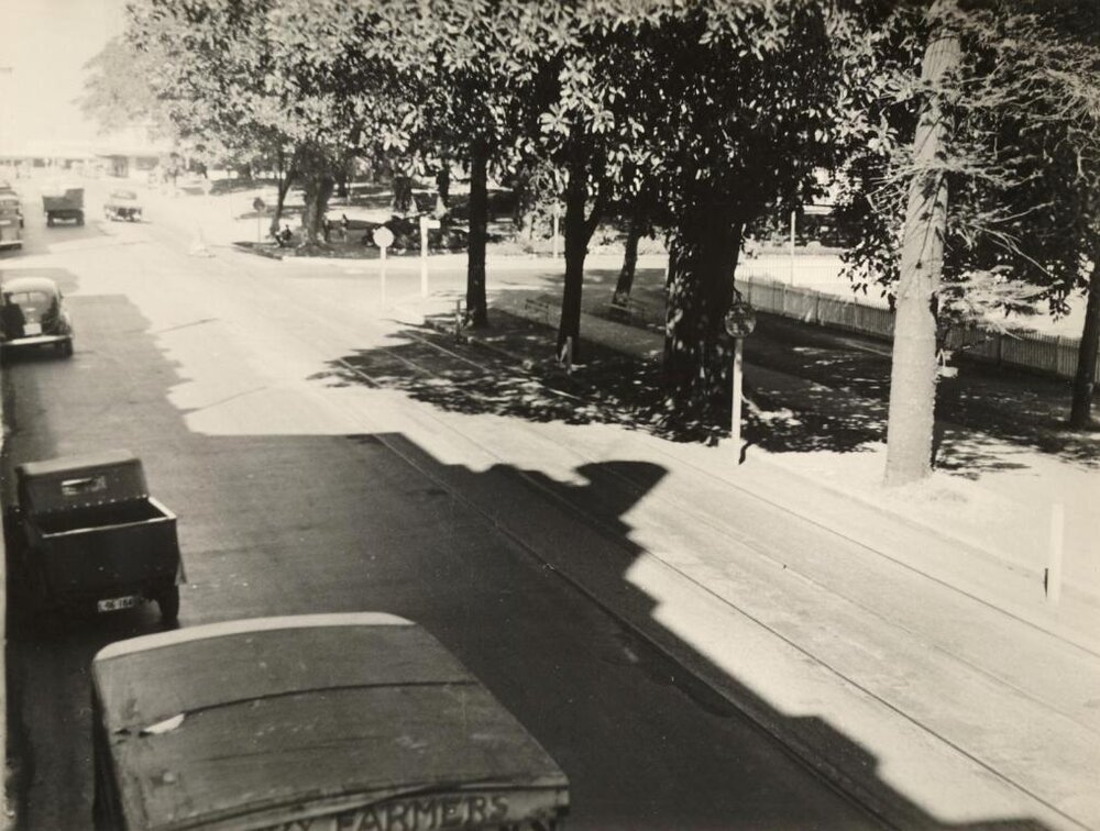 Belgrave Street, lined with trees, Manly, 3rd September 1946