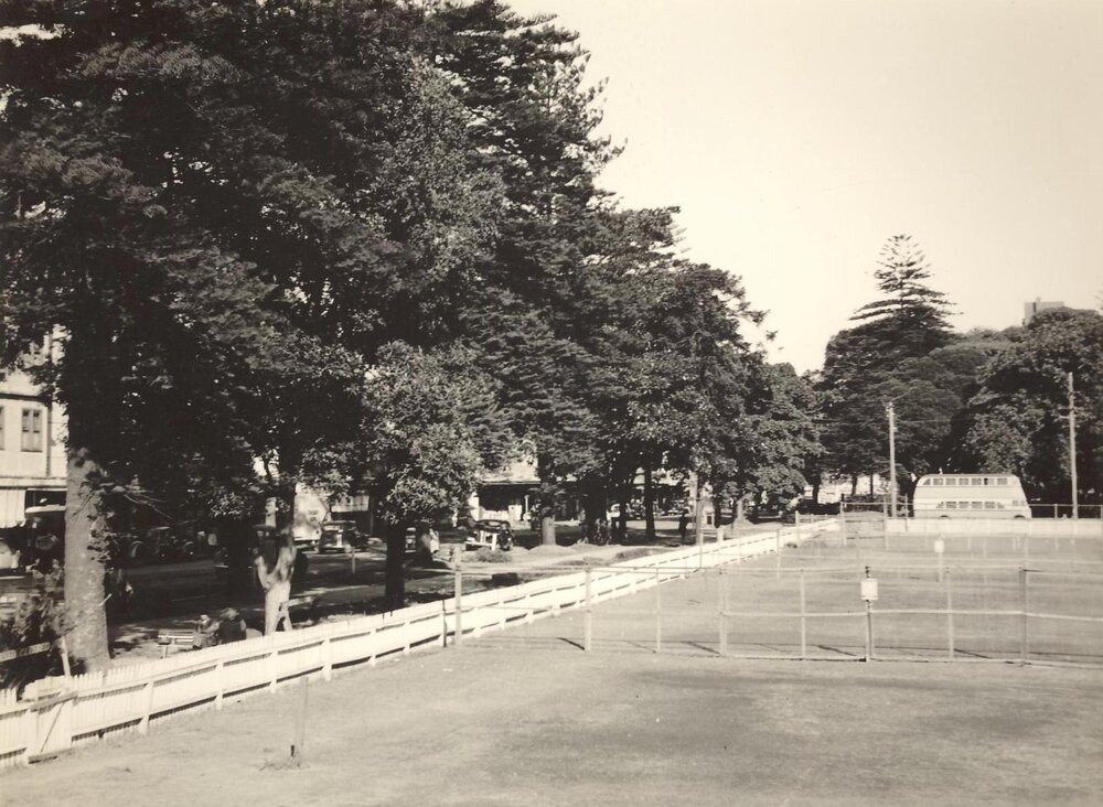 Belgrave Street trees and Manly Oval, Manly, August 1948