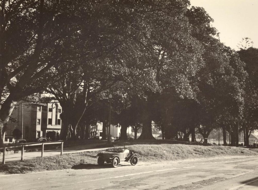 Belgrave Street, Gilbert Park, Manly, October 1948