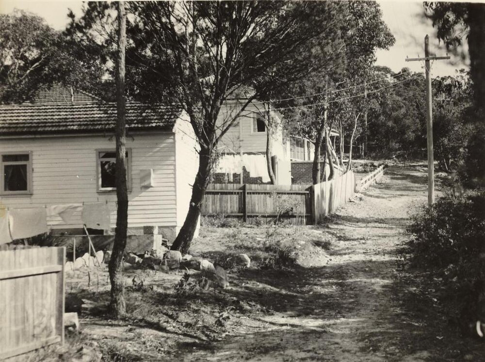 Boronia Lane, with weatherboard houses, Seaforth, September 1956