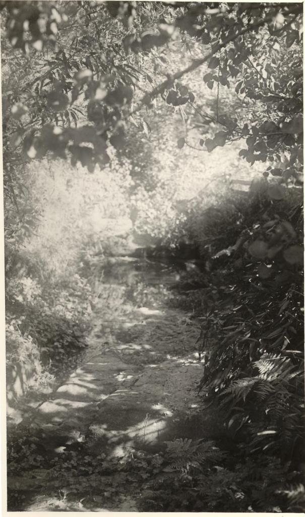 Bungaloe Ave to Condamine watercourse with scrub, Balgowlah, 8th April 1948
