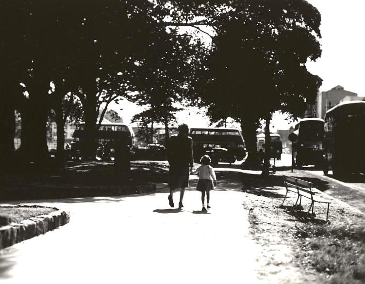 Buses in Belgrave Street, Manly, 27th August 1948
