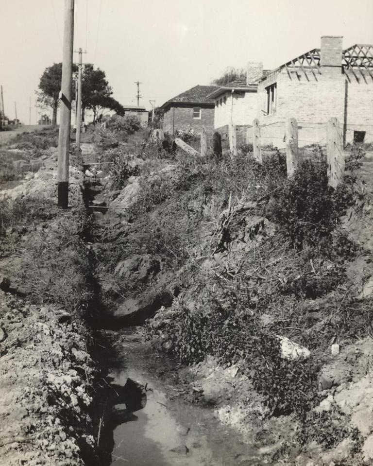 Brook Road drain in September 1948, Seaforth