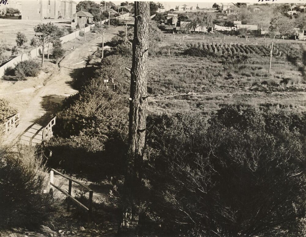 Brook Road and gardens, Seaforth, 30th June 1947