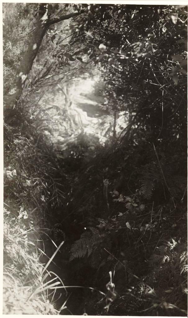 Bungaloe Avenue to Condamine Street watercourse, Balgowlah, 8th April 1948