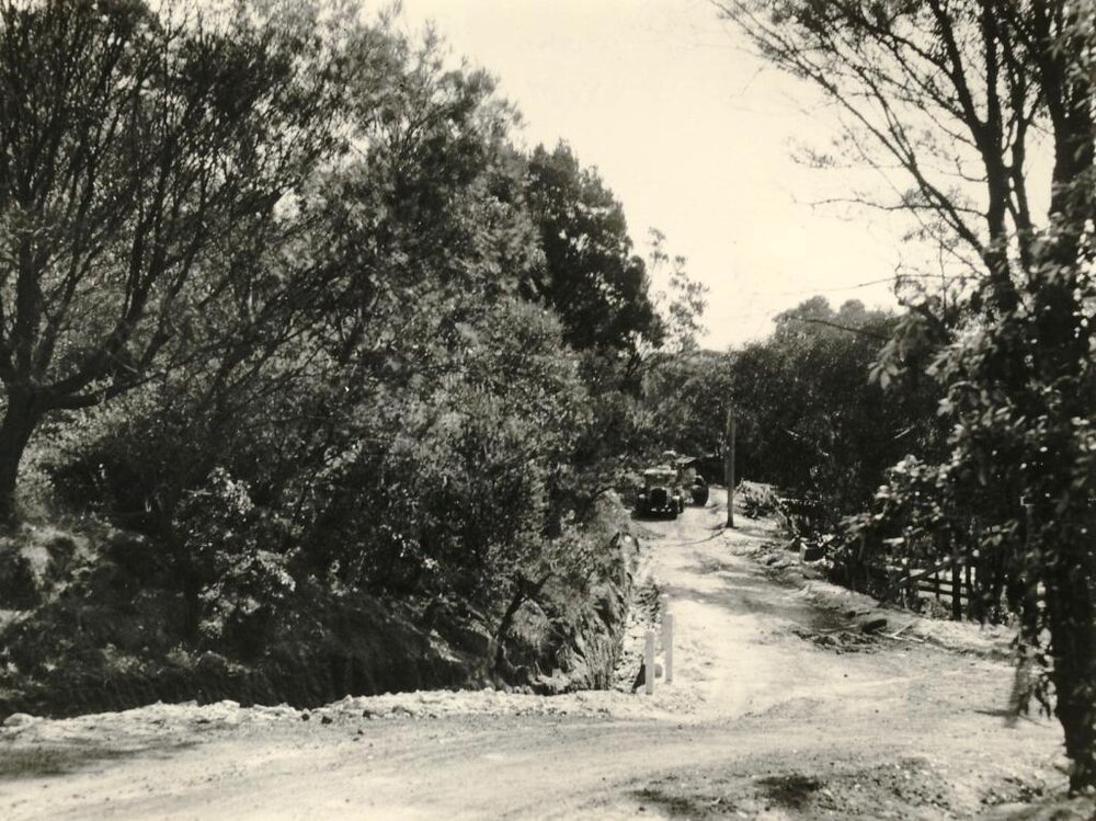 Callicoma Roa, Seaforth, September 1956