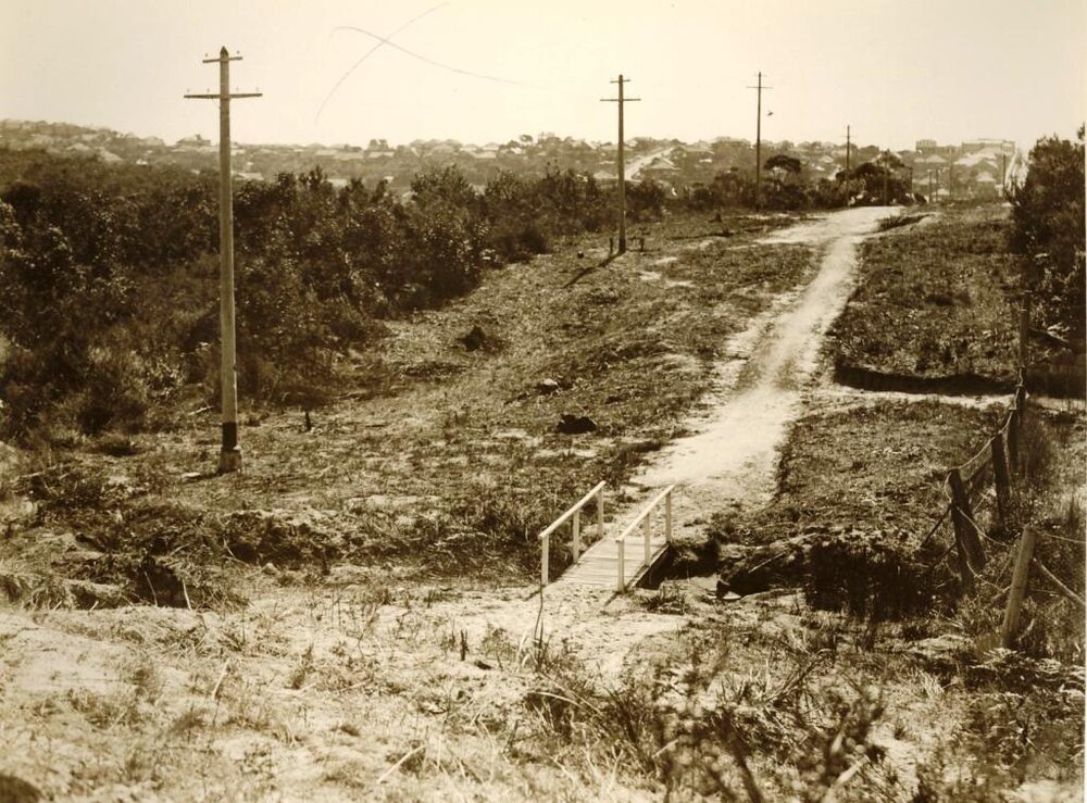 Condamine Street looking north from just north of Ernest Street, Balgowlah, 19th August 1933