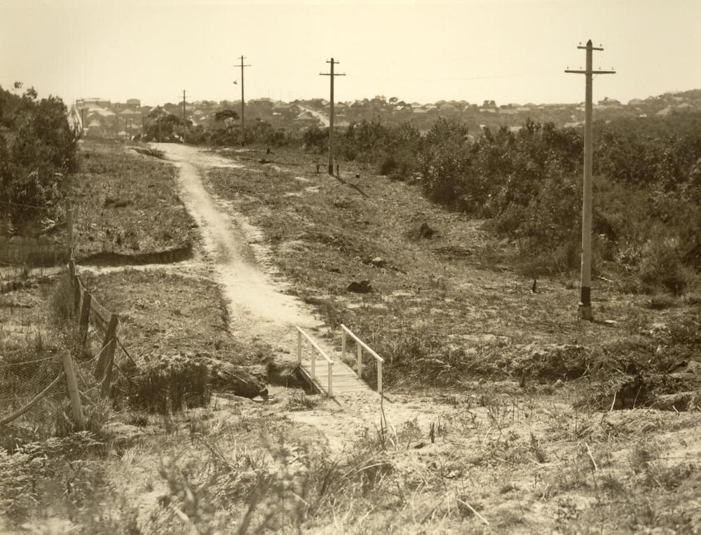 Condamine Street looking north prior to road construction, Balgowlah, 3rd August 1933
