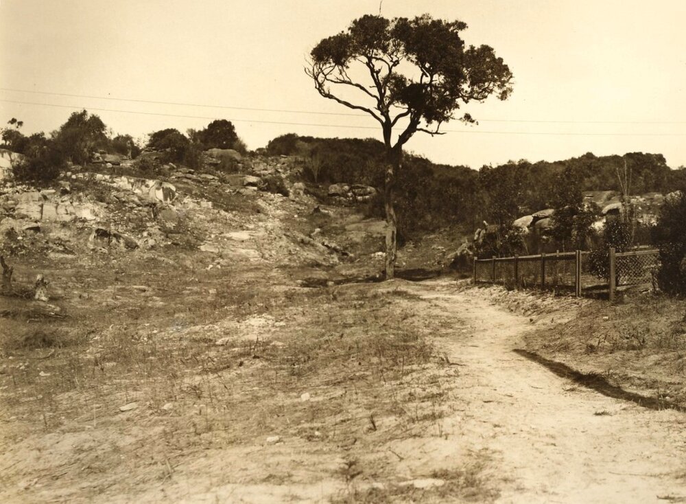 Condamine Street looking south Ernest Street to right, Balgowlah, 19th August 1933