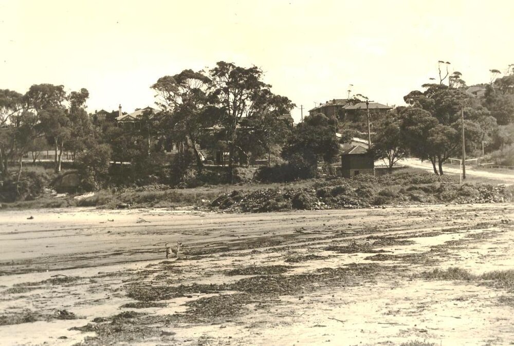 Condamine Street at Beach Street, Balgowlah, 20th January 1938