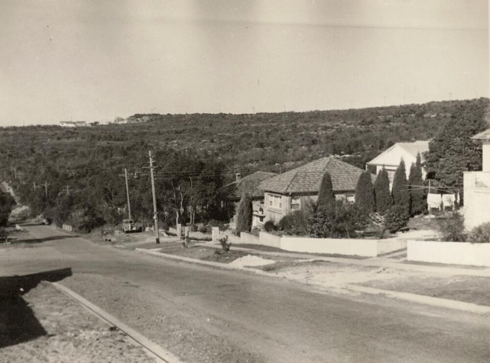 Crown land south of Curban Street, Balgowlah Heights, July 1955