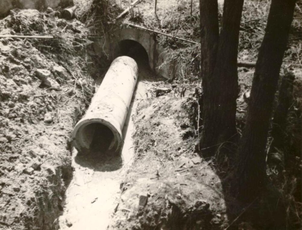 Culvert Condamine Street, Balgowlah, October 1953