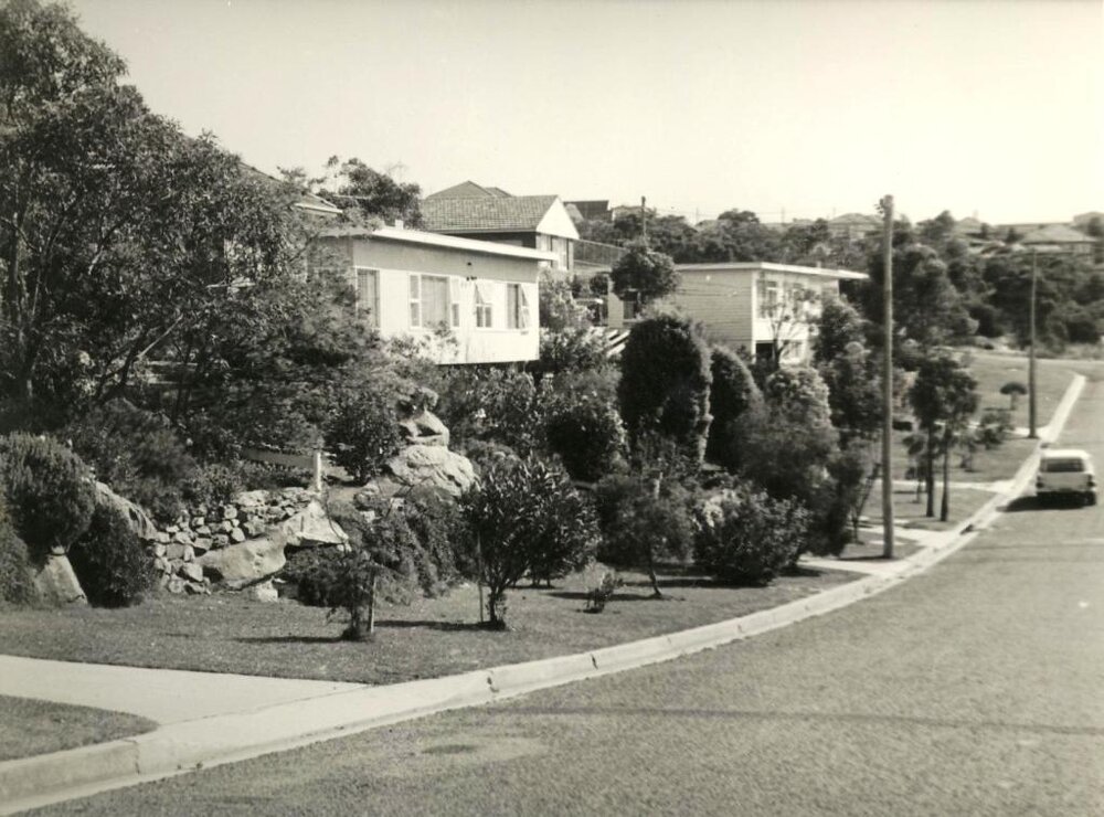 Curban Street, street lawns, Balgowlah Heights, 1964
