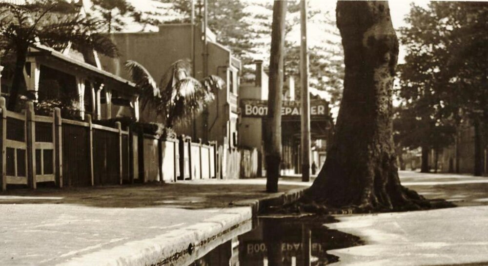 Darley Road near Ashburner Street, Manly, 1st July 1937
