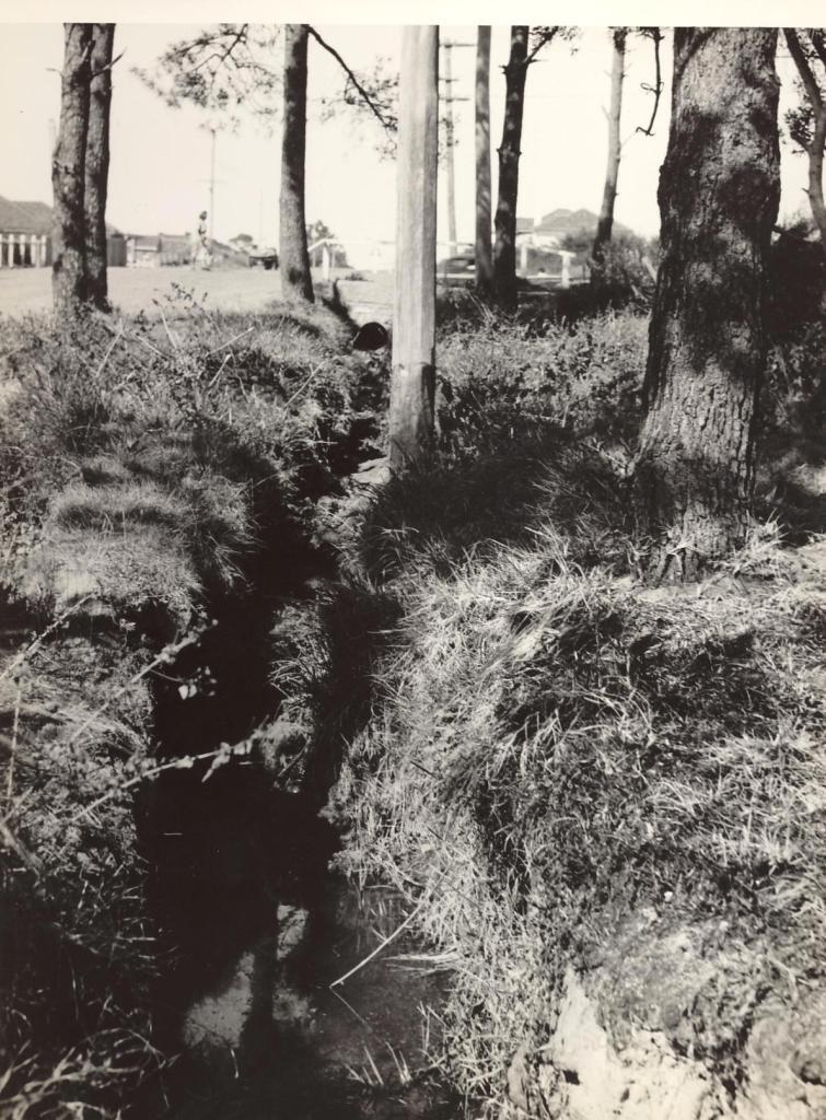 Drain, Brook Road, Seaforth, Sept 1948