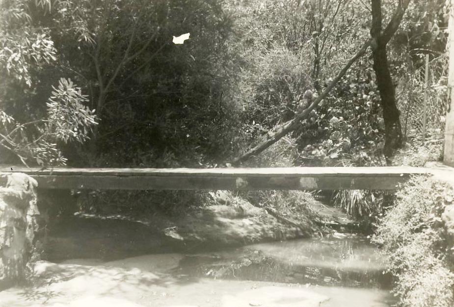 Edgecliffe Esplanade timber footbridge over watercourse, Seaforth, 20th June 1947