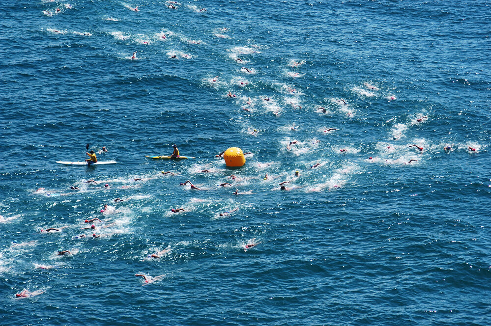 Big Swim from Palm Beach to Whale Beach