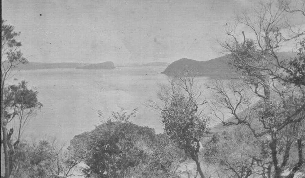 View to Lion Island c1920