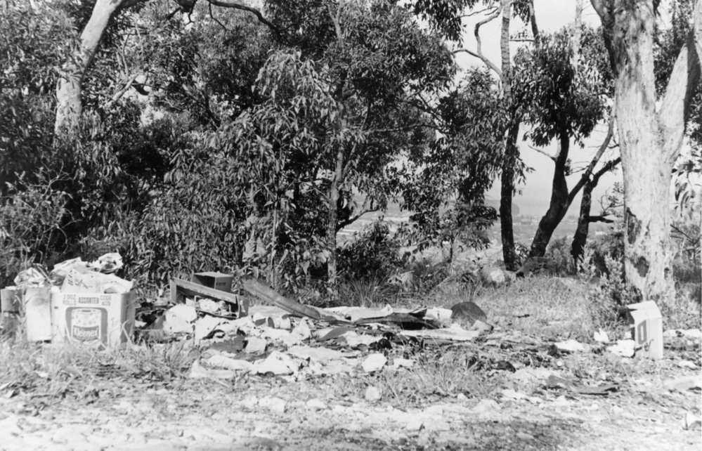 Rubbish dumping, Ingleside