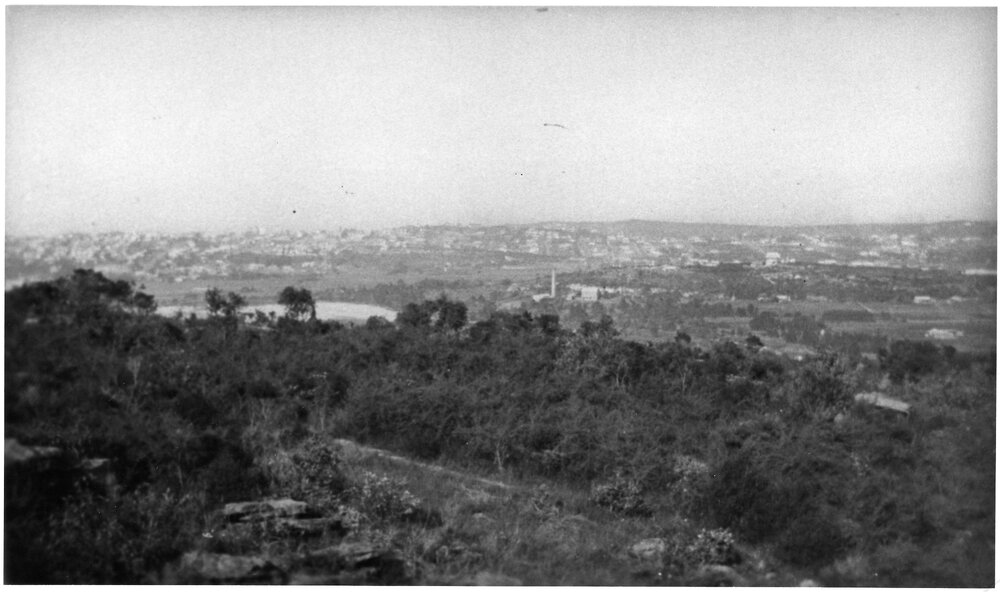 Looking from Coles Road, Freshwater, across to Manly Lagoon
