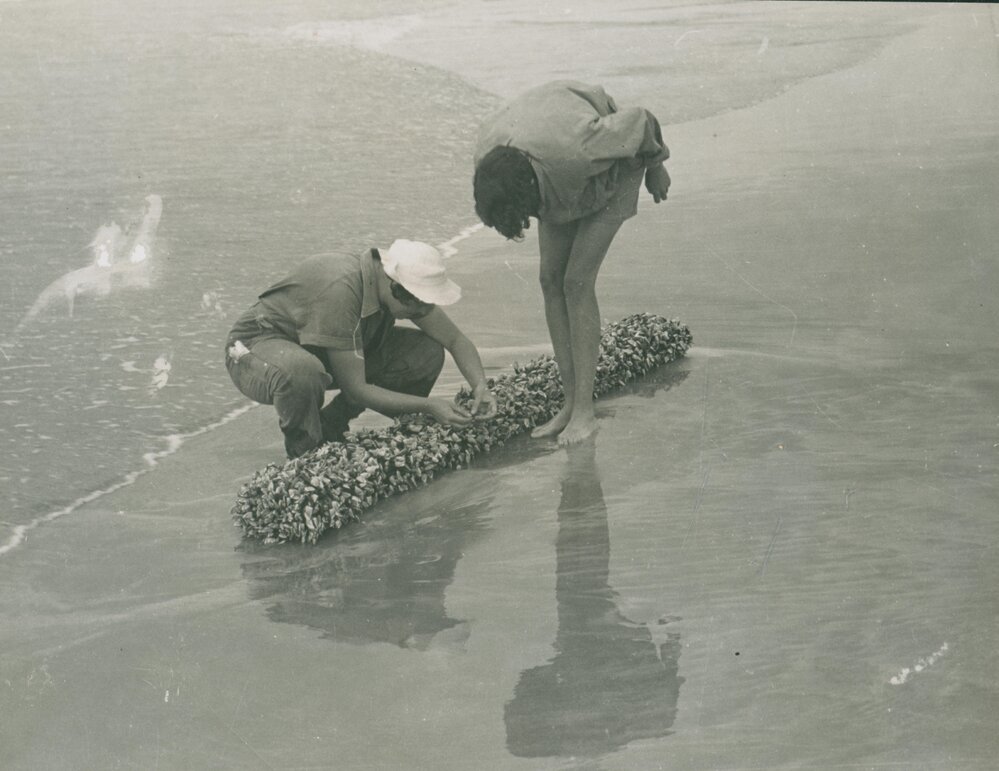 Elizabeth Pope and Isobel Bennett