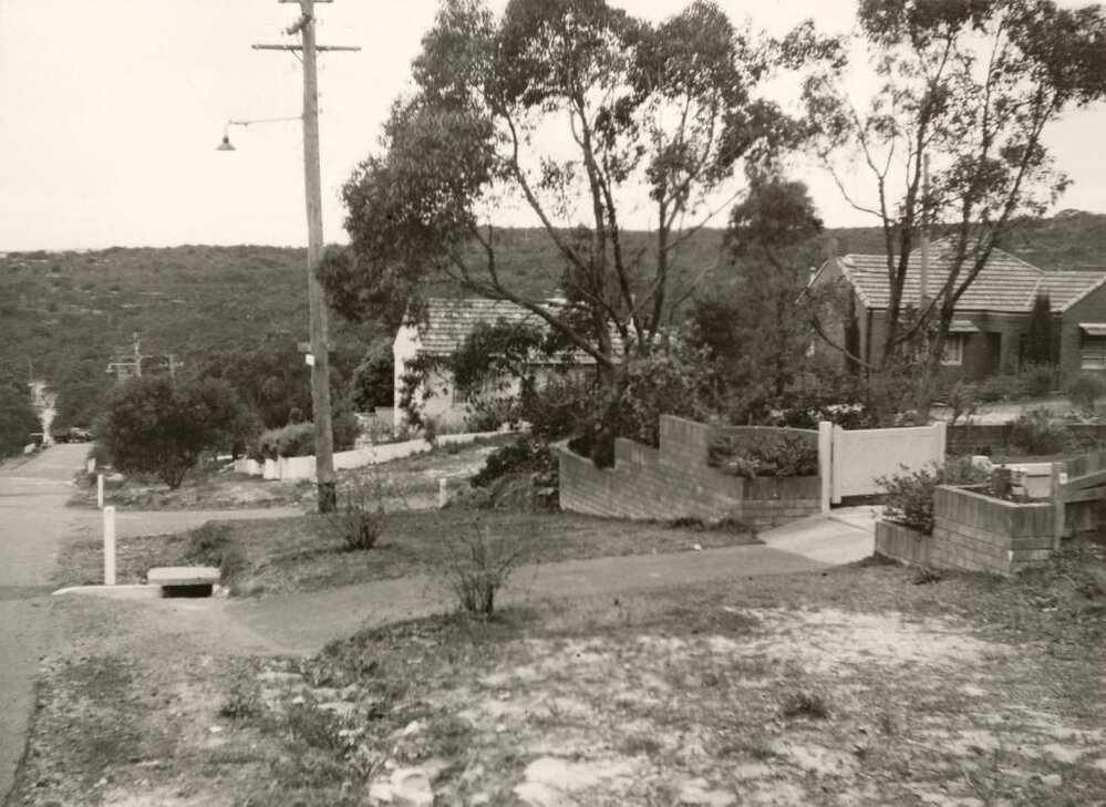 Ernest Street, nature strip, Balgowlah Heights, September 1949