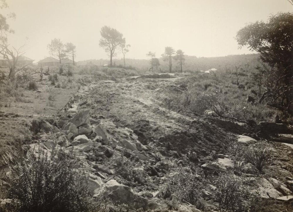 Construction continues at Baranbali Avenue,  Seaforth, 27th August 1947