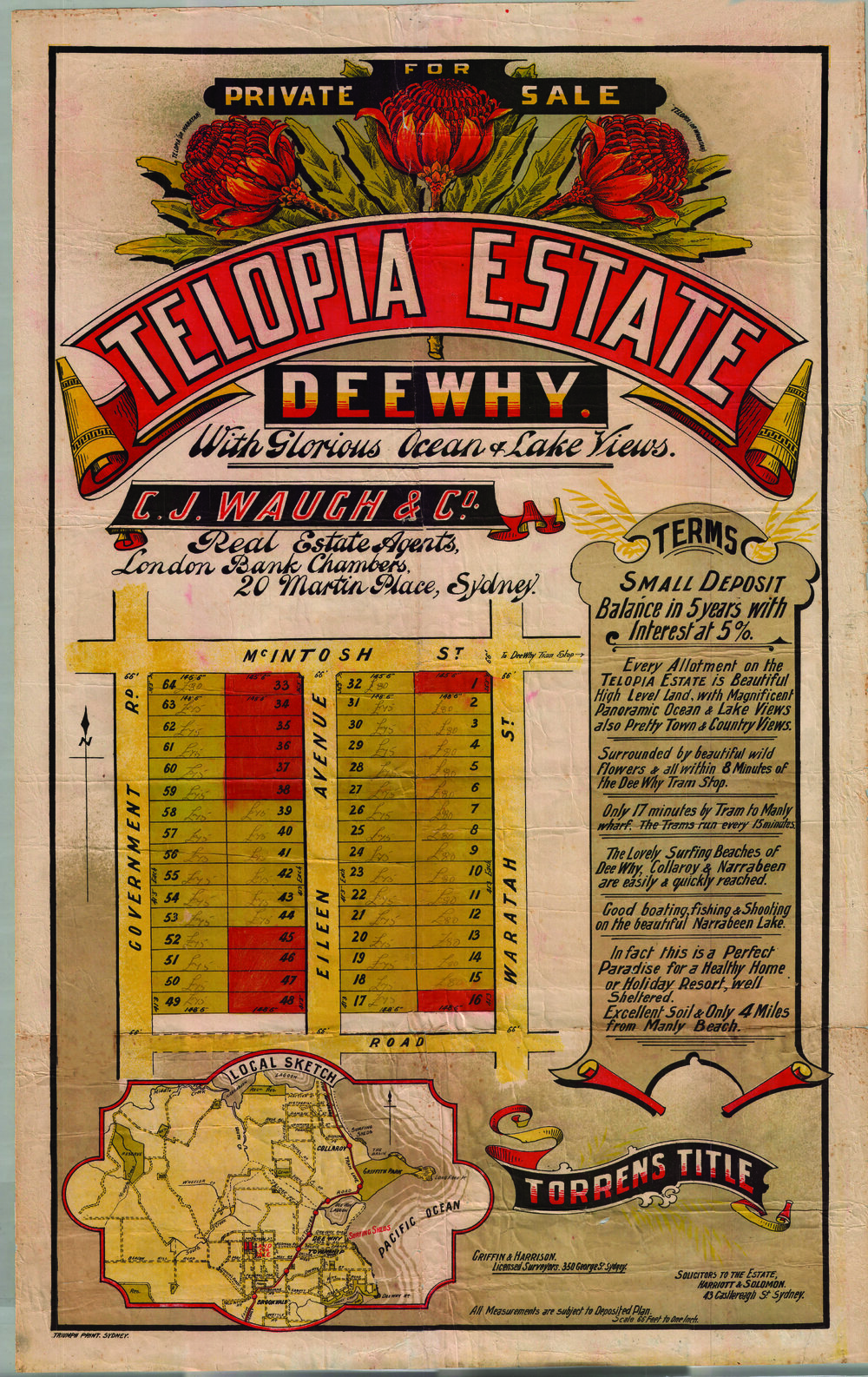 Telopia Estate, Dee Why: Subdivision Plan