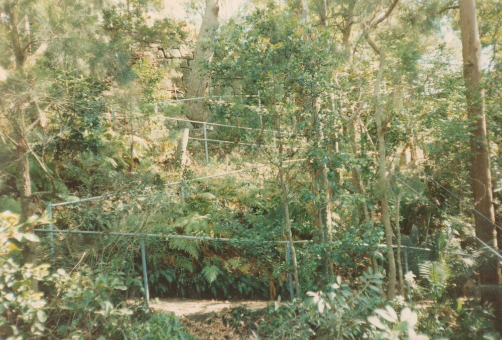 Garden in Grandview Drive, Newport