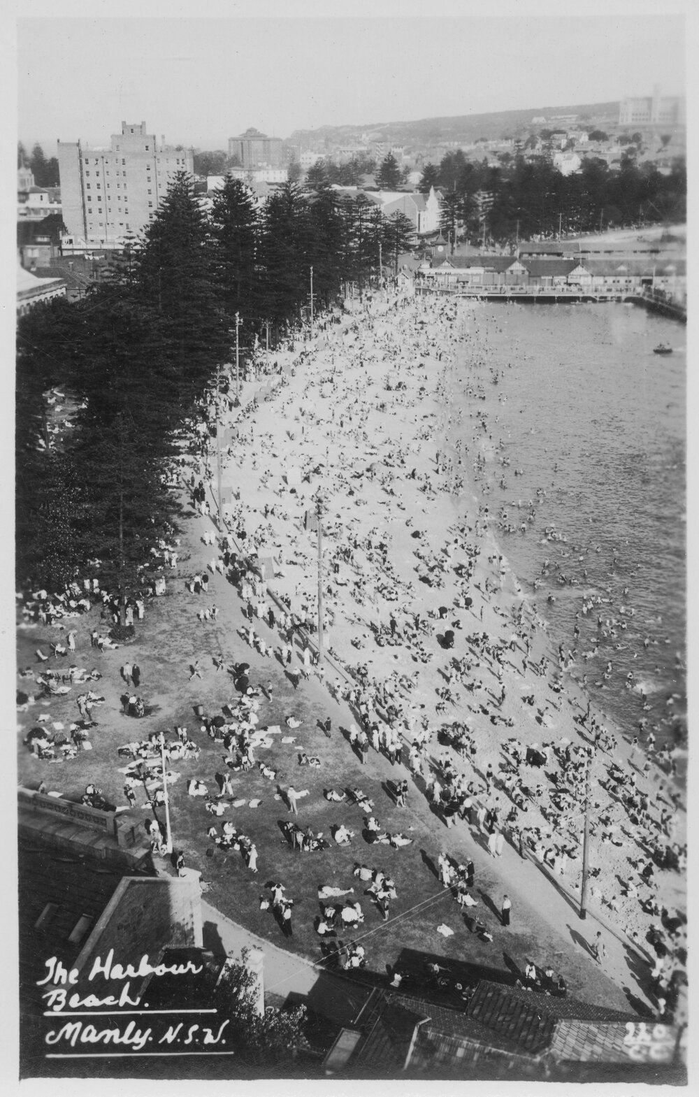 Aerial view of Manly Harbour Pool