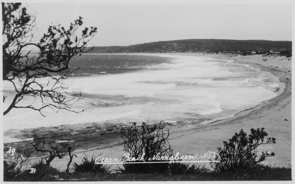 Elevated view of beach at Narrabeen