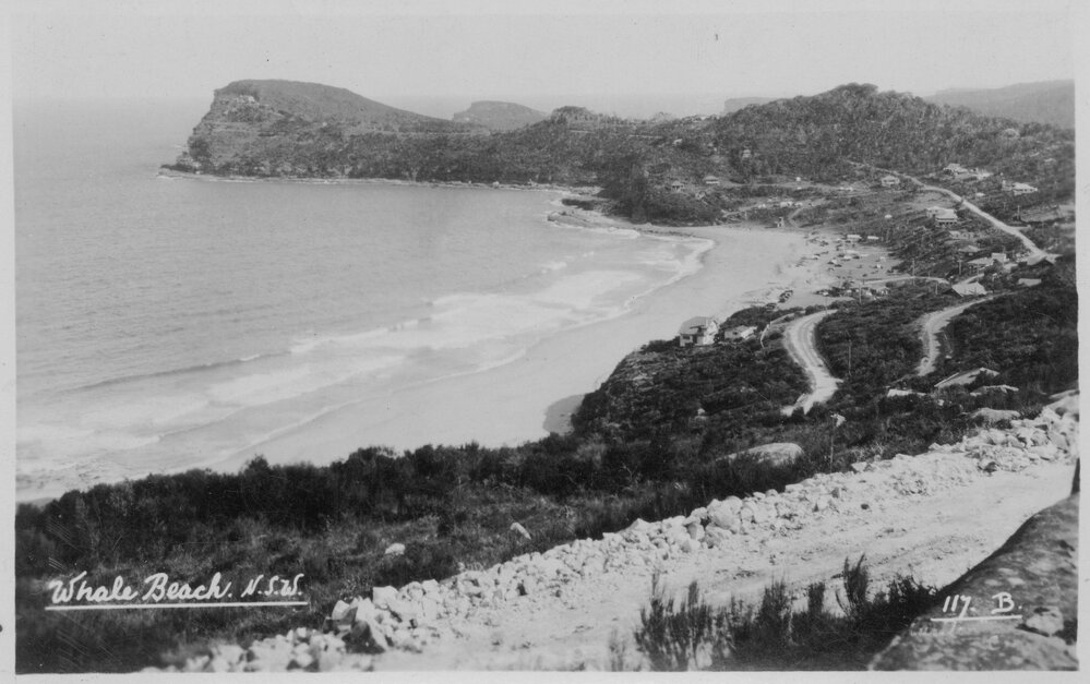 Whale Beach