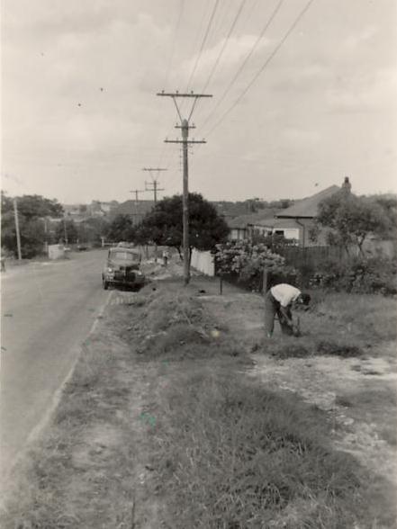 Frenchs Forest Road prior to footpath, Seaforth, 1954