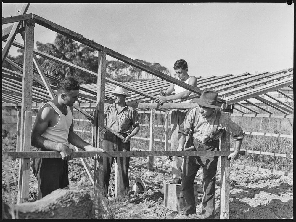 Market gardeners at Warriewood