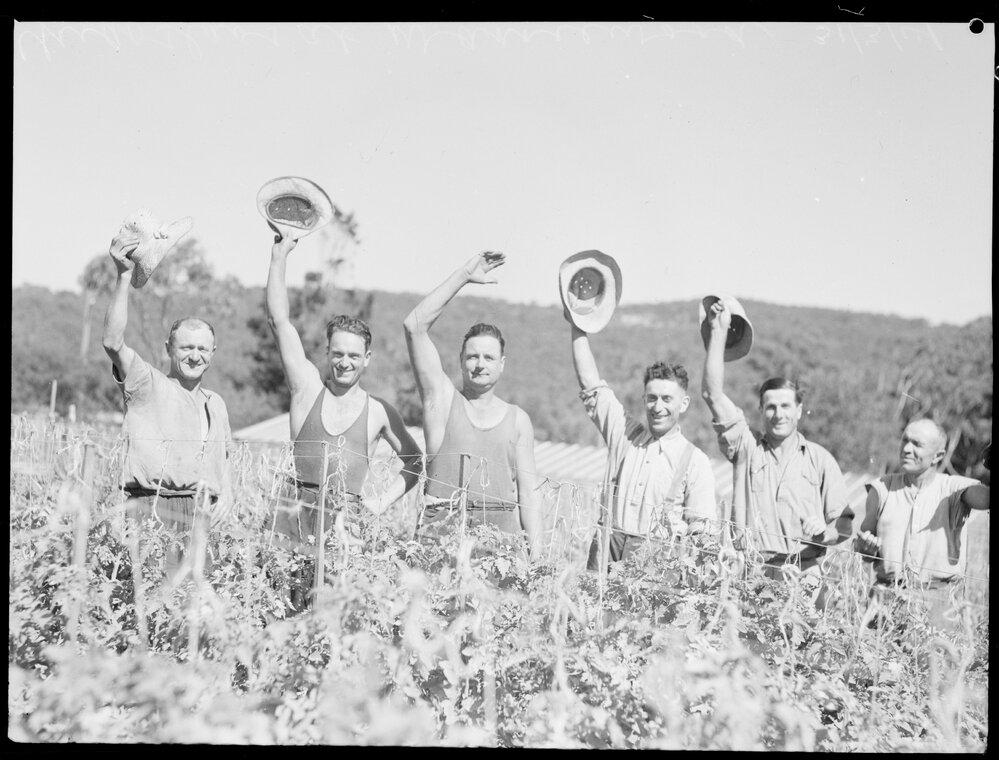 Market gardeners at Warriewood
