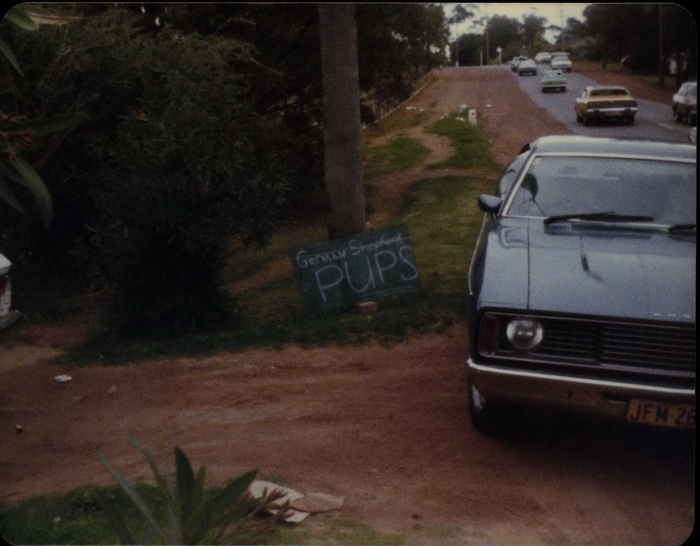 Roadside advertising, Warringah