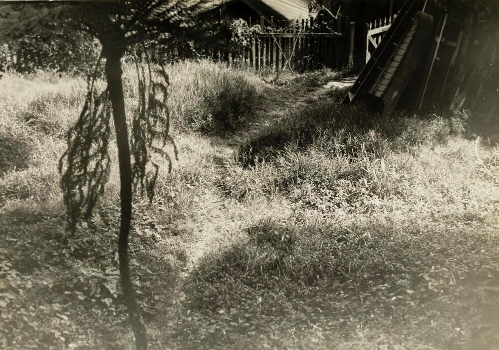 Fussell's land, North Harbour, Manly, 20th January 1938