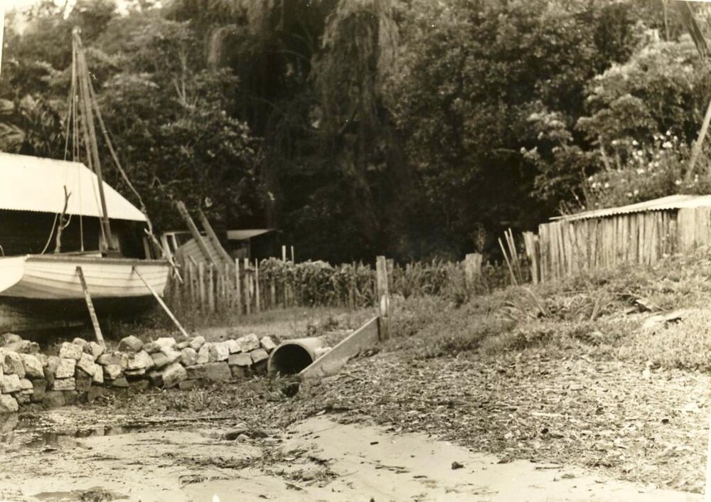Fussell's property, North Harbour, Manly, 20th January 1938